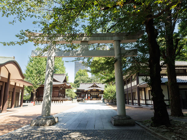 七五三の家族写真